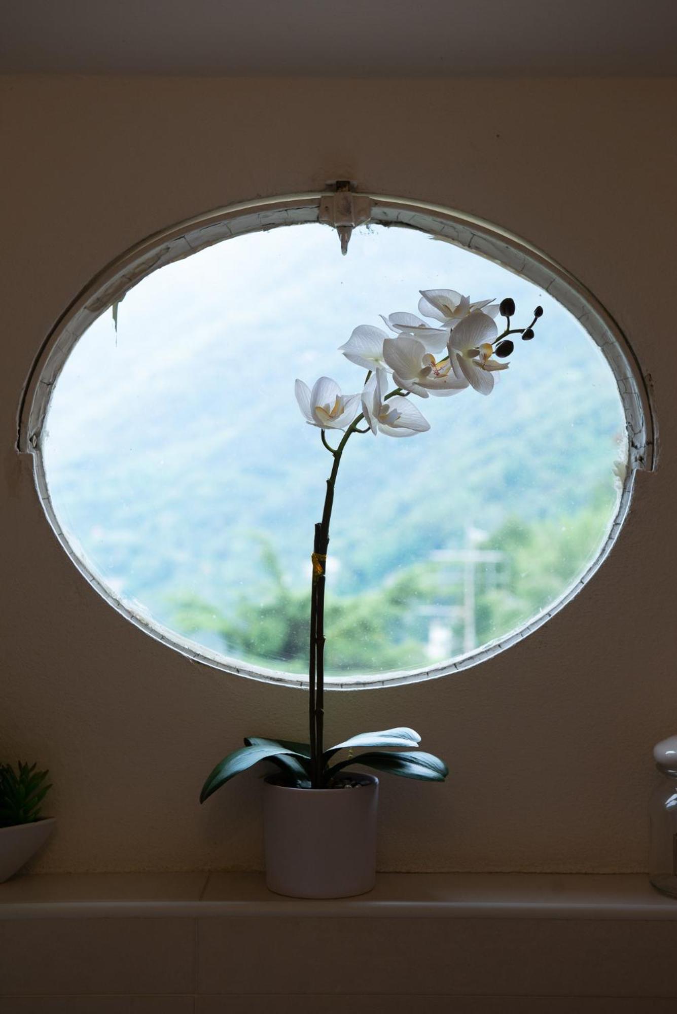 Appartamento "Bella Vista" Sul Lago Di Como Faggeto Lario Εξωτερικό φωτογραφία
